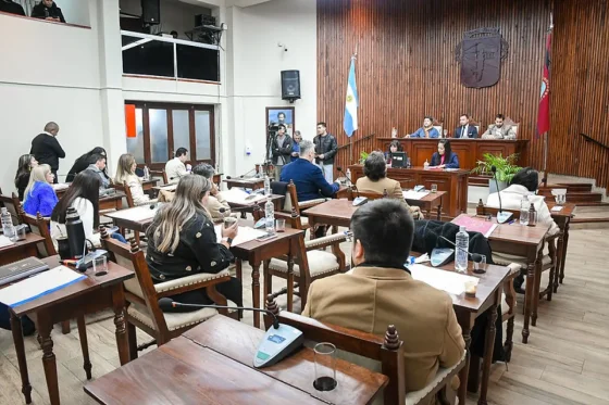 El Concejo Deliberante creó la Mesa de Diálogo Permanente de Discapacidad