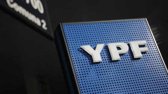 El Gobierno pidió que se suspenda el fallo que obliga a entregar las acciones de YPF