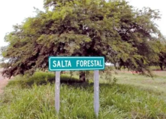 Diputados aprobó la regularización dominial de Salta Forestal