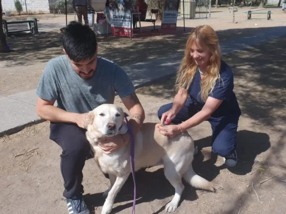Esta semana habrá vacunación antirrábica en Palermo y Alto La Viña