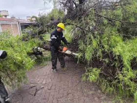 Tormenta: el municipio intervino en 46 incidentes causados por la lluvia y el viento