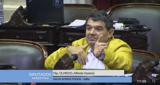 Alfreo H. Olmedo, diputado nacional por Salta.